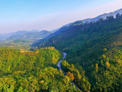 Việt Nam đang dần hoàn thiện khung pháp lý cho thị trường “carbon rừng” 