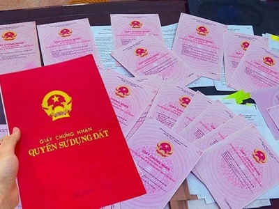 Vụ án Tập đoàn Phúc Sơn: Đề nghị giải tỏa 196 sổ đỏ để khắc phục hậu quả