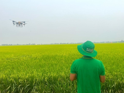 Việt Nam đặt mục tiêu 2,5 triệu ha diện tích áp dụng canh tác trồng trọt giảm phát thải vào năm 2030