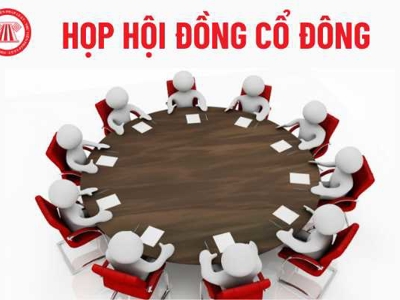 Chưa họp đạo hội cổ đông, BCG và TCD vào diện cảnh báo