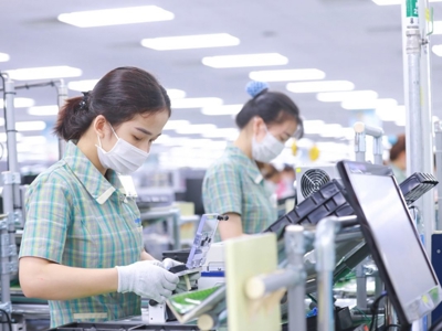 Doanh nghiệp thành lập mới trong tháng 6 đạt 24,4 nghìn, cao nhất từ trước đến nay