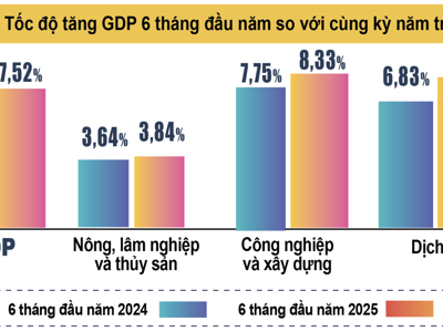 GDP 6 tháng đầu năm 2025: Tăng trưởng ngoạn mục ngược dòng thách thức toàn cầu
