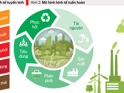 Kinh tế tuần hoàn sẽ được ưu tiên triển khai ở 10 lĩnh vực trọng điểm tại Huế