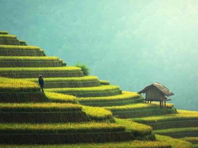 Đón gần 11 triệu lượt khách quốc tế, du lịch Việt có động lực để bứt phá
