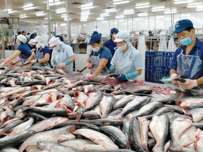 Xuất khẩu thuỷ sản sang Mỹ suy giảm mạnh trong tháng 6/2025