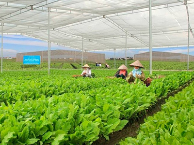 Huế triển khai các dự án thúc đẩy phát triển nông nghiệp thông minh, thích ứng biến đổi khí hậu
