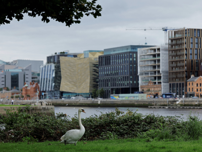 Vì sao kinh tế Ireland tăng trưởng bùng nổ rồi lại giảm?
