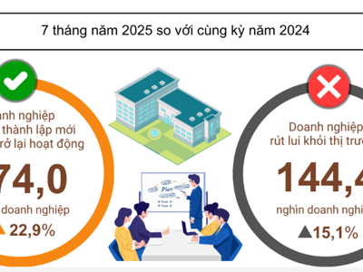 Gam màu tương phản trong bức tranh doanh nghiệp 7 tháng đầu năm 2025