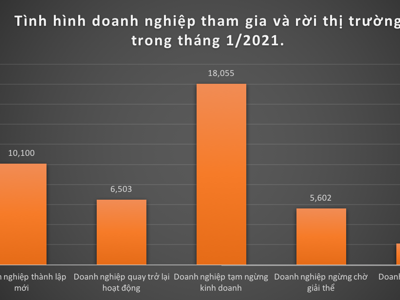 Hơn 10 ngàn doanh nghiệp thành lập mới trong tháng 1