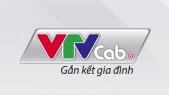 VTVcab thông báo cung cấp dịch vụ thẩm định giá và tư vấn thoái vốn