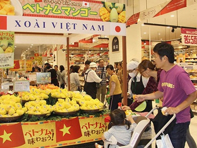 Làm gì để đưa hàng Việt vào hệ thống bán lẻ nước ngoài?