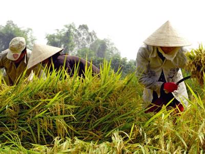 Bảo vệ Thực vật An Giang đăng ký niêm yết 62,1 triệu cổ phiếu tại HoSE