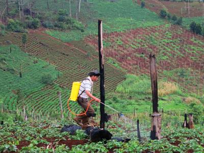 Tổng rà soát đất đai nông lâm trường