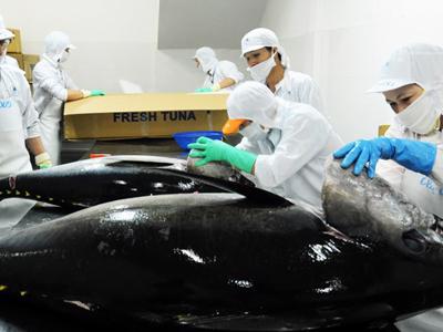 Dính "thẻ vàng" EU, xuất khẩu cá ngừ chuyển mạnh sang Trung Đông