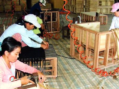 Sẽ “chỉnh” doanh nghiệp đội lốt hợp tác xã