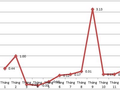 CPI năm 2013 tại Tp.HCM tăng thấp hơn cả nước