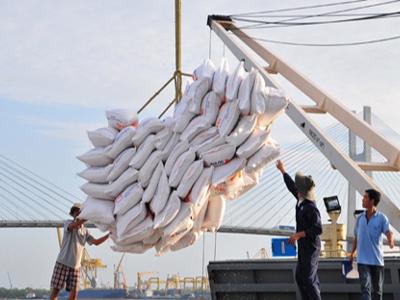 Việt Nam quyết giảm lượng gạo xuất khẩu, tăng giá trị thu về