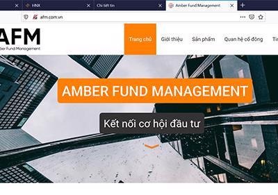 Công bố thông tin không đúng hạn, Quản lý quỹ Amber bị phạt tiền