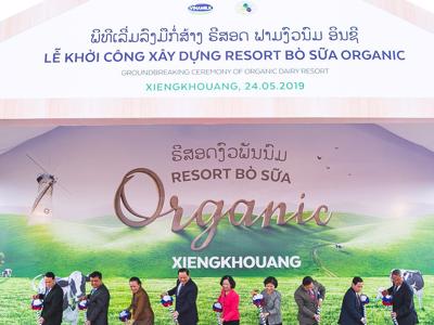 Vinamilk xây dựng Tổ hợp "Resort" bò sữa Organic quy mô 5.000ha tại Lào