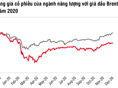 Cổ phiếu dầu khí 2021: Sẽ được định giá lại sau cú sốc "cách ly xã hội"?