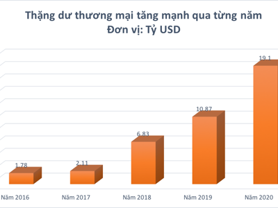 Năm 2020 Việt Nam xuất siêu kỷ lục, nhiều mặt hàng vượt chục tỷ USD