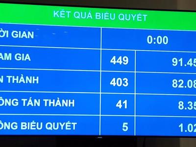 Thông qua nghị quyết về giải phóng mặt bằng sân bay Long Thành