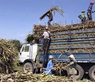 “Mỗi ngày thất thu 500 triệu đồng tiền thuế vì đường lậu”