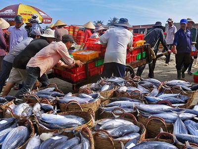 Việt Nam đang khai thác quá mức nguồn lợi thủy hải sản