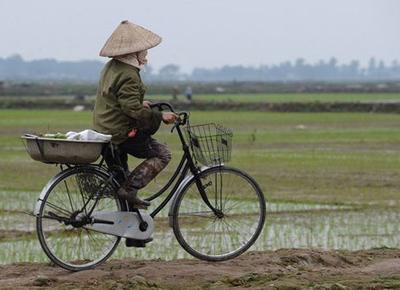 Luật Đất đai 2013: Không có chuyện “đa sở hữu”?