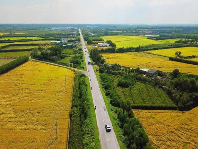 Thủ tướng duyệt chuyển mục đích sử dụng hơn 50 ha đất nông nghiệp ở Long An