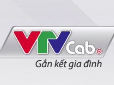 VTVcab thông báo chọn nhà cung cấp dịch vụ thẩm định giá và tư vấn thoái vốn