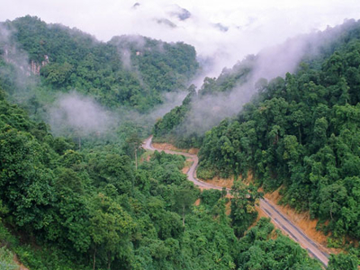 Tạm đình chỉ làm đường 20 qua Phong Nha - Kẻ Bàng 