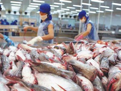 Đề nghị 7 bộ vào cuộc giúp hải sản Việt thoát "thẻ vàng" EU