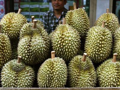 Sầu riêng giống hiếm được bán giá 1.000 USD/quả ở Indonesia