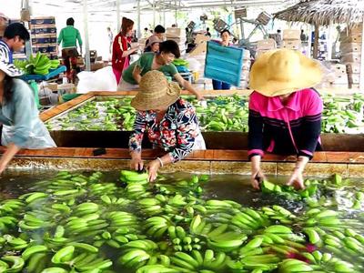 Xuất khẩu sang Trung Quốc ngày càng khó