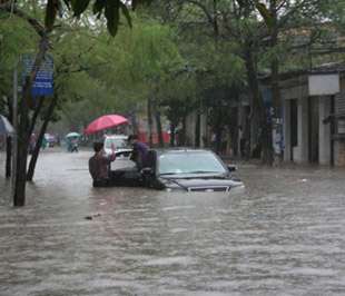 Bảo hiểm xe cơ giới: “Cá bé nuốt cá lớn”