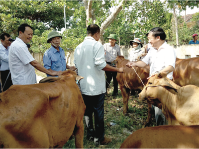 Xóa đói, giảm nghèo vẫn còn nhiều gian nan