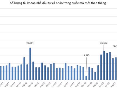 Hơn 86.100 tài khoản chứng khoán mới nhảy vào thị trường đúng đỉnh tháng 1