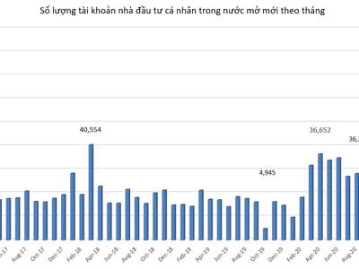 Nhà đầu tư F0 bớt hào hứng, tài khoản mở mới giảm mạnh