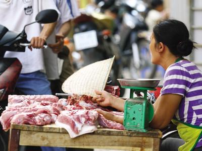Giá lợn hơi đang tăng sau các cuộc giải cứu