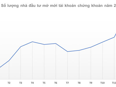 Nhà đầu tư cá nhân ồ ạt mở tài khoản, phá kỷ lục trong tháng 12