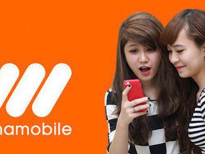 MNP đang là "mối nguy" với Vietnamobile?