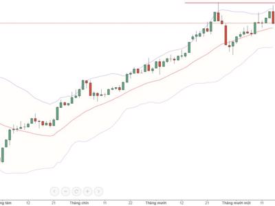 Blog chứng khoán: Bull-trap to