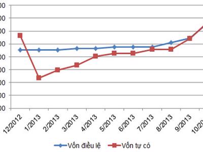 VAMC có “cứu” ngân hàng cổ phần?