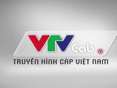 Bị xâm hại bản quyền, VTVcab phải dừng phát sóng giải C1 và C3