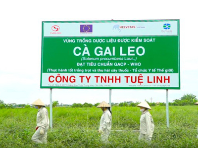 10 năm nhãn hàng Giải độc gan Tuệ Linh - vẹn tròn tình yêu cây thuốc Việt