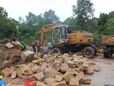 Chính phủ chỉ đạo làm rõ thông tin “sốt đất rừng ở Phú Quốc”