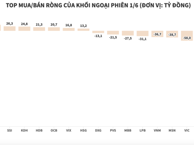 Chỉ giao dịch phiên sáng, khối ngoại vẫn kịp xả ròng 549 tỷ đồng HPG