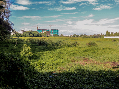 Thu hồi hai dự án “đất vàng” bị bỏ hoang 4 năm ở Phan Thiết