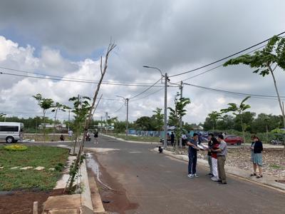 Săn đất nền các tỉnh phía Nam: Tránh tình trạng sau cơn sốt là khu đất hoang 